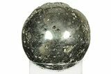 Massive, Polished Pyrite Sphere - Peru #211925-2